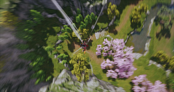 ꡼ No.036Υͥ / Υץ쥤ݡϡ֥֥쥤ɥɥ2סӥ褤襫ȥ󡩡ԥץ쥤θǿMMORPG˿Ƥ