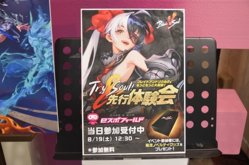 ꡼ No.001 | й䤸󤱤夬ꡣ֥֥쥤֥ɥ2ץե饤θTry&Soulץ٥ȥݡ