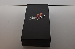 ꡼ No.017 | й䤸󤱤夬ꡣ֥֥쥤֥ɥ2ץե饤θTry&Soulץ٥ȥݡ