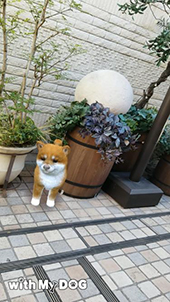 ꡼ No.003 | ޥ۸ڥåȰSLGwith My DOG - Ȥ餽 -ס215ۿ190ʾλҸо