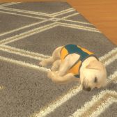 ꡼ No.002 | with My DOG - Ȥ餽 -פiOSۿϡҸȤΤդ礤ϤARƵǽǼ̿ưڤSLG