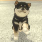 ꡼ No.003 | with My DOG - Ȥ餽 -פiOSۿϡҸȤΤդ礤ϤARƵǽǼ̿ưڤSLG