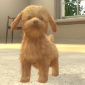 ꡼ No.004 | with My DOG - Ȥ餽 -פiOSۿϡҸȤΤդ礤ϤARƵǽǼ̿ưڤSLG