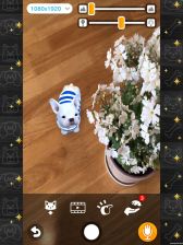 ꡼ No.010 | with My DOG - Ȥ餽 -פiOSۿϡҸȤΤդ礤ϤARƵǽǼ̿ưڤSLG