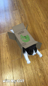 ꡼ No.001 | with My DOG - Ȥ餽 -פ10DLˡ֥롼ȥ֥ƥå奷硼ȥإɲ