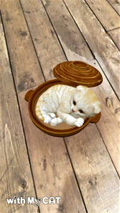 ꡼ No.002 | with My DOG - Ȥ餽 -פ10DLˡ֥롼ȥ֥ƥå奷硼ȥإɲ