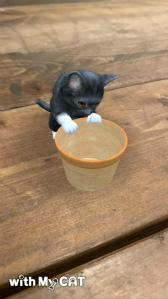 ꡼ No.008 | with My DOG - Ȥ餽 -פ10DLˡ֥롼ȥ֥ƥå奷硼ȥإɲ