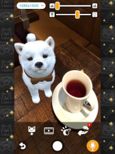 ꡼ No.003 | with My DOG - Ȥ餽 -סwith My CAT - ǭȤ餽 -߷40