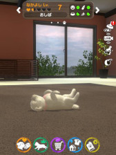 ꡼ No.004 | with My DOG - Ȥ餽 -סwith My CAT - ǭȤ餽 -߷40