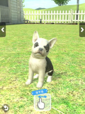 ꡼ No.005 | with My DOG - Ȥ餽 -סwith My CAT - ǭȤ餽 -߷40