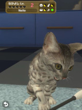 ꡼ No.006 | with My DOG - Ȥ餽 -סwith My CAT - ǭȤ餽 -߷40