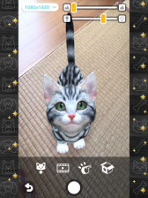 ꡼ No.008 | with My DOG - Ȥ餽 -סwith My CAT - ǭȤ餽 -߷40