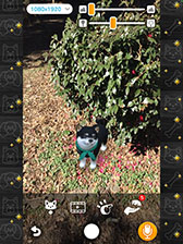 ���������꡼ No.002�Υ���ͥ������ / ��with My DOG - ���Ȥ��餽�� -�פ�Android�����ˤ⥵���ӥ����ϡ�5000��ʬ��Amazon���եȥ����ɤ������������륭���ڡ����»�