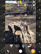 ���������꡼ No.003�Υ���ͥ������ / ��with My DOG - ���Ȥ��餽�� -�פ�Android�����ˤ⥵���ӥ����ϡ�5000��ʬ��Amazon���եȥ����ɤ������������륭���ڡ����»�