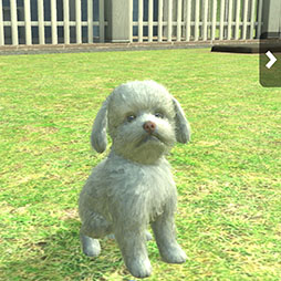 ���������꡼ No.006�Υ���ͥ������ / ��with My DOG - ���Ȥ��餽�� -�פ�Android�����ˤ⥵���ӥ����ϡ�5000��ʬ��Amazon���եȥ����ɤ������������륭���ڡ����»�