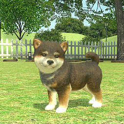 ���������꡼ No.007�Υ���ͥ������ / ��with My DOG - ���Ȥ��餽�� -�פ�Android�����ˤ⥵���ӥ����ϡ�5000��ʬ��Amazon���եȥ����ɤ������������륭���ڡ����»�