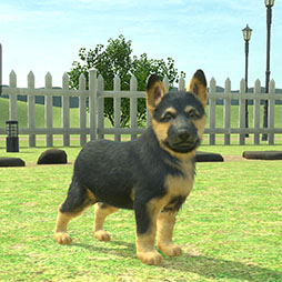 ���������꡼ No.008�Υ���ͥ������ / ��with My DOG - ���Ȥ��餽�� -�פ�Android�����ˤ⥵���ӥ����ϡ�5000��ʬ��Amazon���եȥ����ɤ������������륭���ڡ����»�