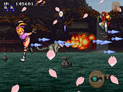 ꡼ No.003 | 륷塼ƥ󥰡֥졼 饷åפޥ۸ۿ