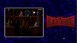 �֥ꥶ���ɡ����������ɥ��쥯�����