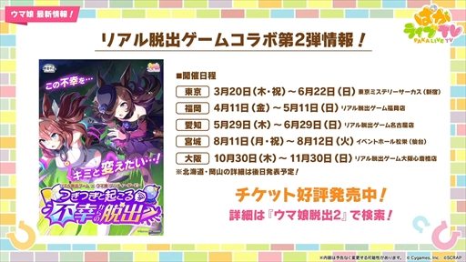 ꡼ No.082 | ɥ䥰󥢥쥰ꥢʤ¿ο̼ȯɽˡ֥̼ ץƥӡפѤ饤TV Vol.50ޤȤ