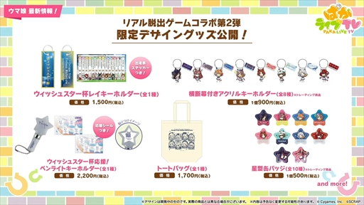 ꡼ No.084 | ɥ䥰󥢥쥰ꥢʤ¿ο̼ȯɽˡ֥̼ ץƥӡפѤ饤TV Vol.50ޤȤ