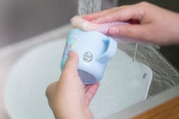 ���������꡼ No.006�Υ���ͥ������ / ��Pokémon PON �͡��ॹ����ספ�ͽ����դ����ϡ��������Ǻ�˲�����ϥ�