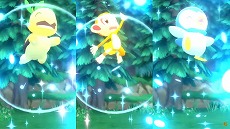 ꡼ No.013 | ꥹ󤬡֥ݥ BDSPס֥ݥ쥸󥺡פδ֤ɤưCMWebư褬