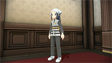 ꡼ No.030 | ֥ݥ BDSPסƲ˽в񤨤ΥݥãХȥ륿ʤɤξ֥ݥ쥸󥺡פκǿ