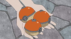 ꡼ No.034 | ֥ݥ BDSPסƲ˽в񤨤ΥݥãХȥ륿ʤɤξ֥ݥ쥸󥺡פκǿ