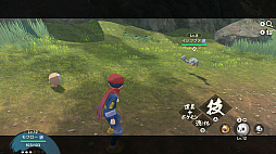 ꡼ No.072 | Pok&#233;mon LEGENDS 륻פκǿץι⤤ͼʤȤʤҥŬݥˤܤ