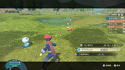 ꡼ No.074 | Pok&#233;mon LEGENDS 륻פκǿץι⤤ͼʤȤʤҥŬݥˤܤ