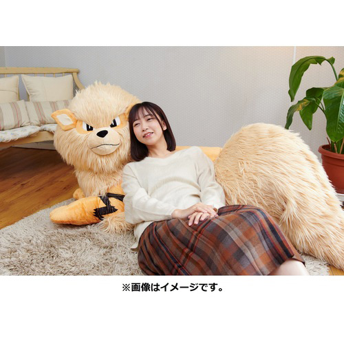 添い寝ポーズ,1/2スケールのウインディ,その名も「ぬいぐるみ 添い寝