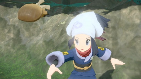 ꡼ No.012 | Pok&#233;mon LEGENDS 륻ץҥ©륭󥰡ξ󤬸ưϰϤȥݥ饤ɡɤо