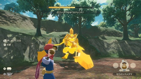 ꡼ No.015 | Pok&#233;mon LEGENDS 륻ץҥ©륭󥰡ξ󤬸ưϰϤȥݥ饤ɡɤо