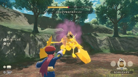 ꡼ No.016 | Pok&#233;mon LEGENDS 륻ץҥ©륭󥰡ξ󤬸ưϰϤȥݥ饤ɡɤо