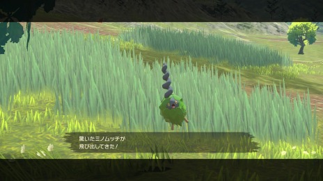 ꡼ No.035 | Pok&#233;mon LEGENDS 륻ץҥ©륭󥰡ξ󤬸ưϰϤȥݥ饤ɡɤо