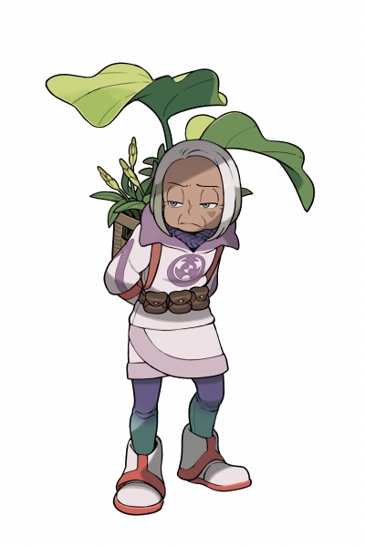 ꡼ No.033 | Pok&#233;mon LEGENDS 륻׿ʡȥҥΤɥݥ䡤ǥ륬ѥ륭Υꥸեब