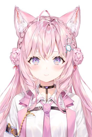 ���������꡼ No.003�Υ���ͥ������ / �˥��˥����֥ۥ��饤�֡׽�°�����Ȥˤ���Pokémon LEGENDS ���륻�����פΥ�����¶����Ȥ�2��27����������