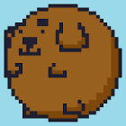 �ѥå�����