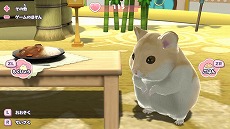 ꡼ No.005 | Switch֤󤬤ꤢʪפȯ䡣줿ϥॹơȥϥޥɤܻؤߥ졼