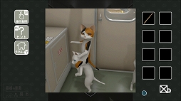 ���������꡼ No.003�Υ���ͥ������ / æ��ADV��ǭ�ͤμ��뤫���æ�Сפ�3��18���˥�꡼������������ʤǤ�ͽ�����䤬��������