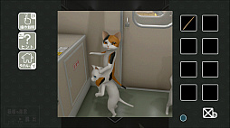 猫様の車窓からの脱出