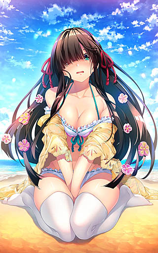 画像ギャラリー No.001のサムネイル画像 / 「戦国†恋姫〜乙女絢爛 戦国絵巻〜」,豪華絢爛出陣セットと登場人物(浅井家)を公式サイトで公開