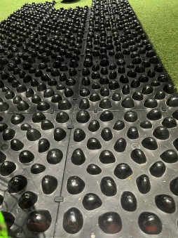 ꡼ No.013 | 5ǯ˸ơGOALOUS5״Խä÷!?ХХ饨ƥݡĻߡVS PARKפѤƮ̩ݡ