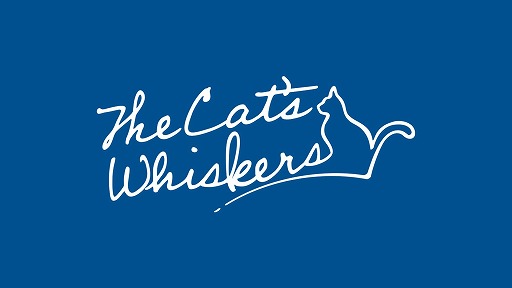 ꡼ No.005 | ˥ޥåȡParadox Live Leaders Meeting in ANIMAXפ5ۿϡƥ꡼뤷ץȤΤޤǤȺ