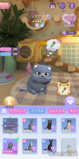 ꡼ No.021 | ɥ륰롼ס֡MEסʥΥåȥߡˤܵǥ󥸡֥ץ󥻥ץڥ륳ܵǰ󥿥ӥ塼