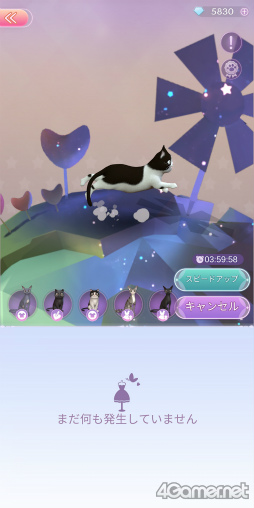 ꡼ No.022 | ɥ륰롼ס֡MEסʥΥåȥߡˤܵǥ󥸡֥ץ󥻥ץڥ륳ܵǰ󥿥ӥ塼