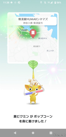 ꡼ No.003 | ԥߥȲܲԤҤޤȪˡPikmin Bloom Tour 2023:ܲθݡȡȯԤˤʹ