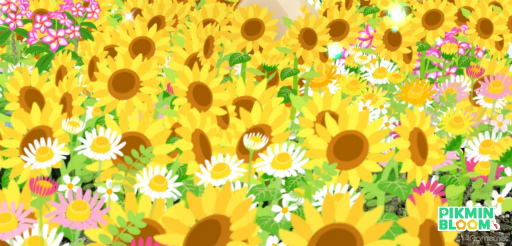 ꡼ No.006 | ԥߥȲܲԤҤޤȪˡPikmin Bloom Tour 2023:ܲθݡȡȯԤˤʹ