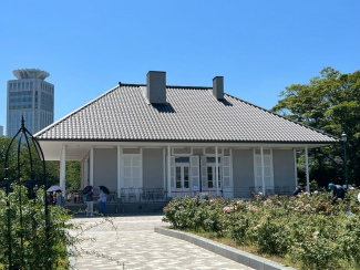 ꡼ No.018 | ԥߥȲܲԤҤޤȪˡPikmin Bloom Tour 2023:ܲθݡȡȯԤˤʹ